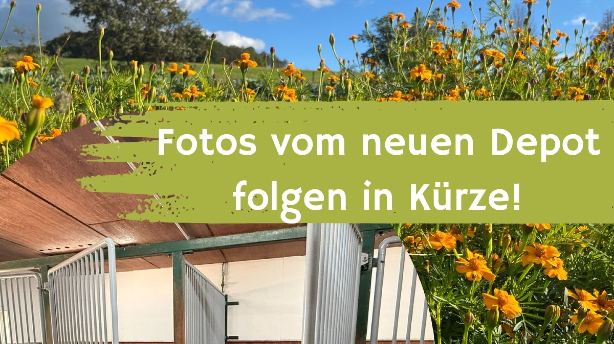 Fotos vom neuen Depot folgen in Kürze!